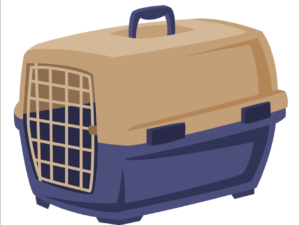 Carriers and crates