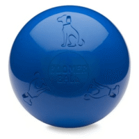 Company Of Animals Boomer Ball 8 Inch