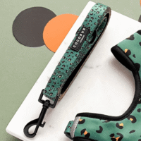 Coco Pup Lead Khaki Leopard