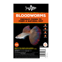 Frozen Bloodworms