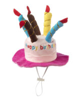 House Of Paws Pink Birthday Cake Hat