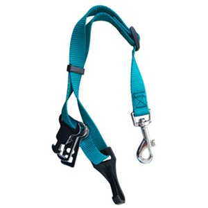 Sotnos Seatbelt Restraint Teal