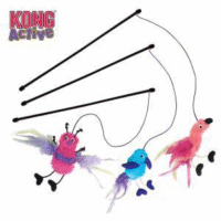 Kong Feather Teaser