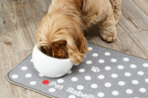Pet Rebellion Dinner Mate Mat Dotty