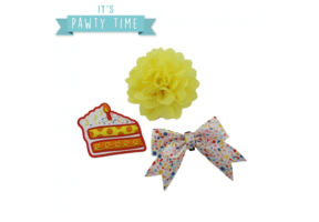Ancol Birthday Pawty Sprinkle Collar Accessory Set
