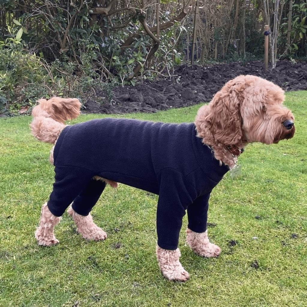 Pawsome Paws Fleece Suit 4 Legged Black Medium
