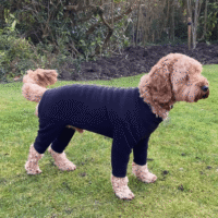 Pawsome Paws Fleece Suit 4 Legged Black Small