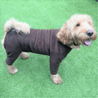 Pawsome Paws Fleece Suit 4 Legged Brown Medium