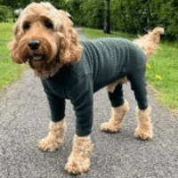 Pawsome Paws Fleece Suit 4 Legged Green Small