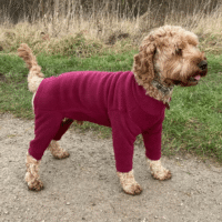 Pawsome Paws Fleece Suit 4 Legged Mulberry Large