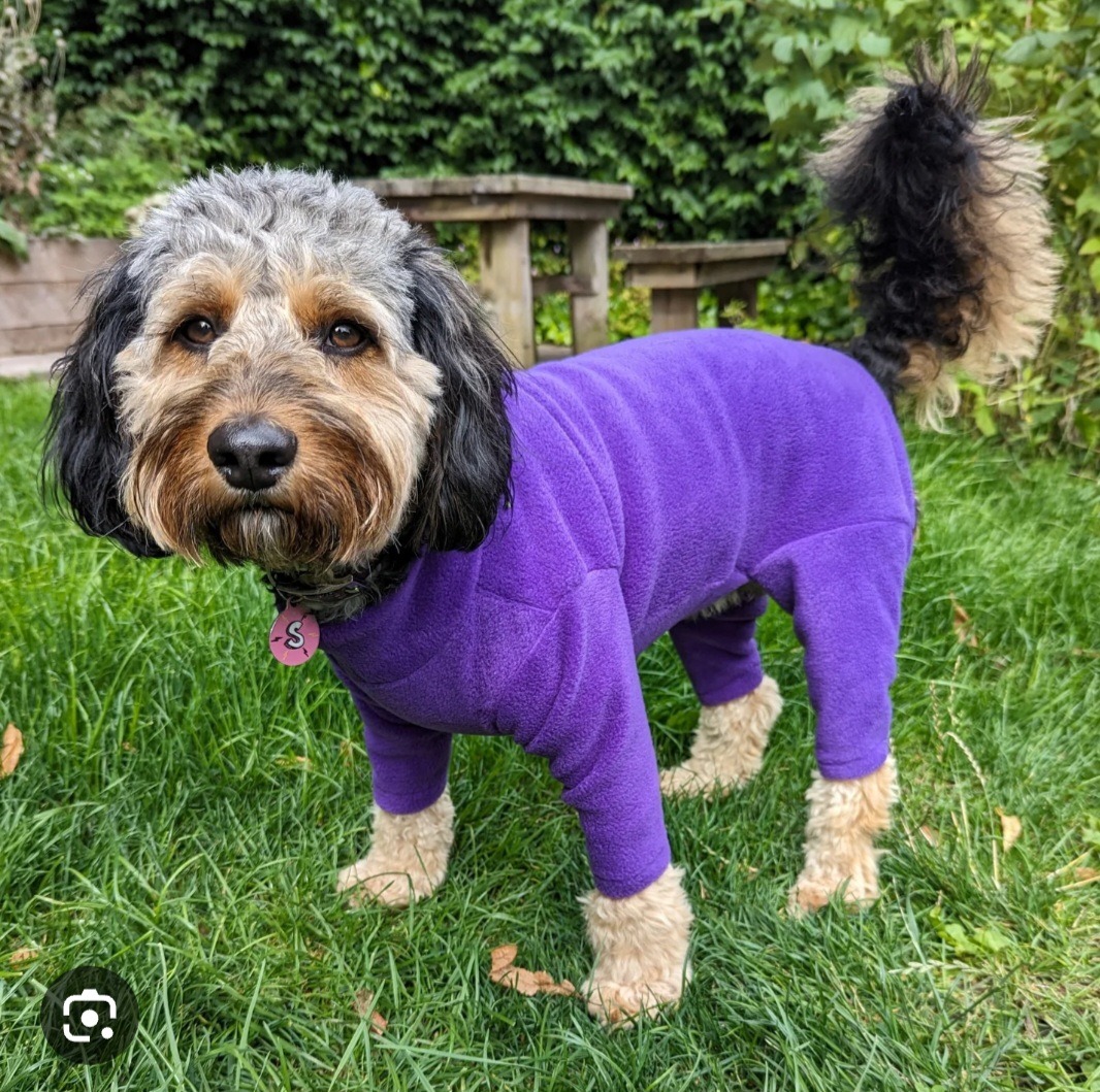 Pawsome Paws Fleece Suit 4 Legged Purple Extra Large