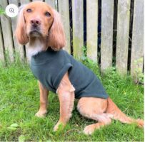 Pawsome Paws Fleece Tankie Green Extra Extra Large