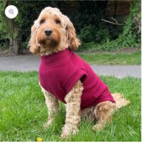 Pawsome Paws Fleece Tankie Mulberry Medium