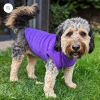 Pawsome Paws Fleece Tankie Purple Small