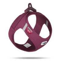 Curli Mesh Harness Medium Ruby