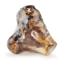 JR Pet Air Dried Knuckle Bone