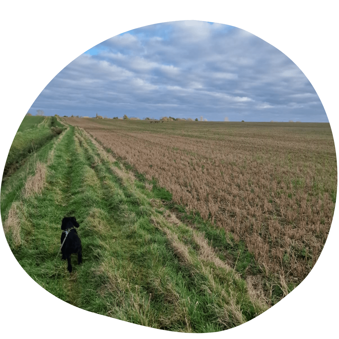 Wilson's Walks - Braceborough, Shillingthorpe, Greatford - Pet Stop Market Deeping