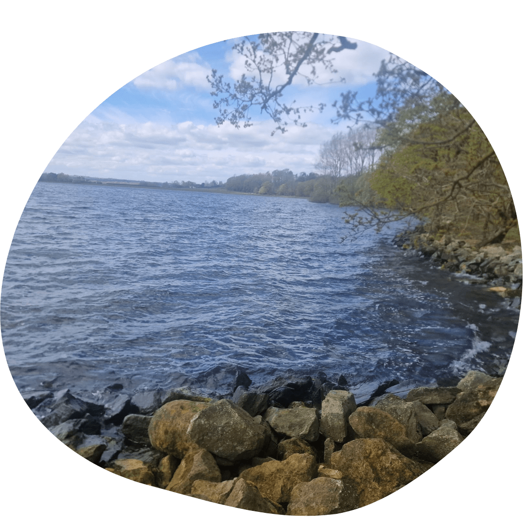 Hambleton Peninsular Dog Walk - Wilsons Walks - Pet Stop Market Deeping