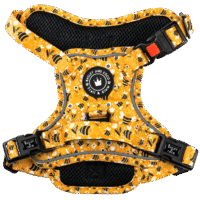 Bailey & Coco Trail & Glow Harness Wannabee Extra Large