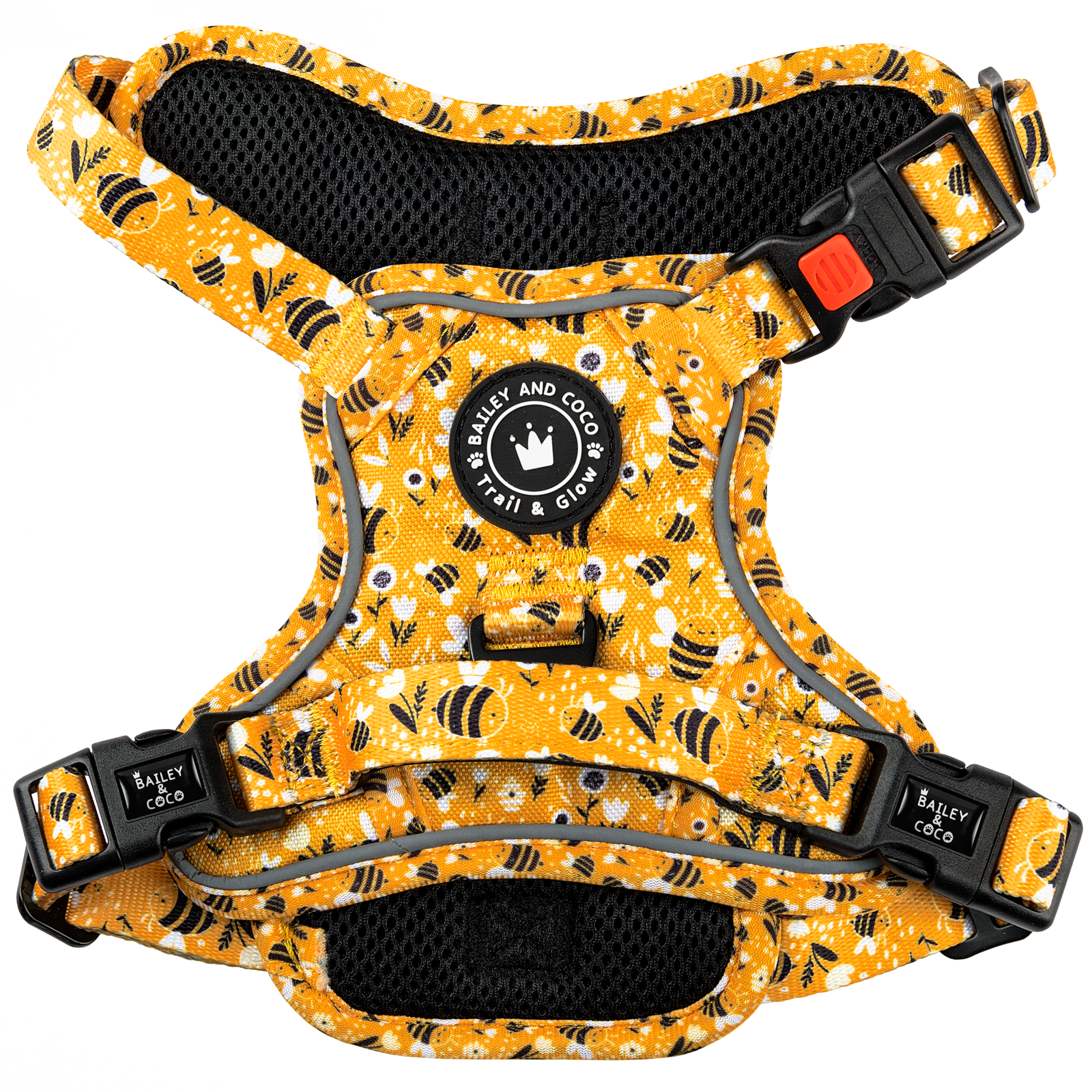 Bailey & Coco Trail & Glow Harness Wannabee Large