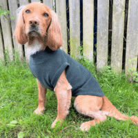 Pawsome Paws Fleece Tankie Green Small