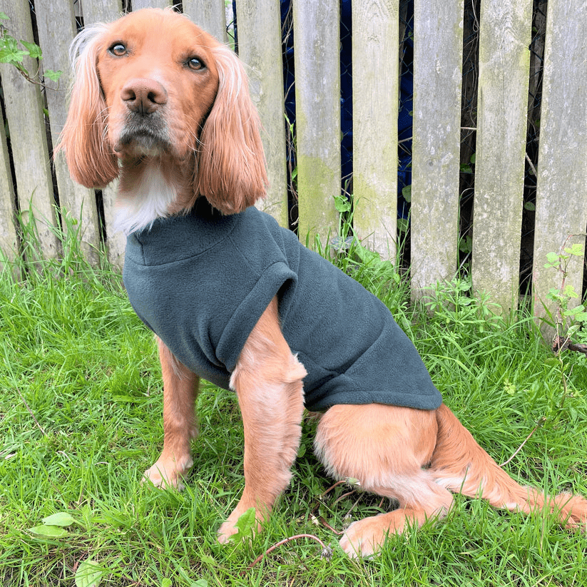 Pawsome Paws Fleece Tankie Green Small