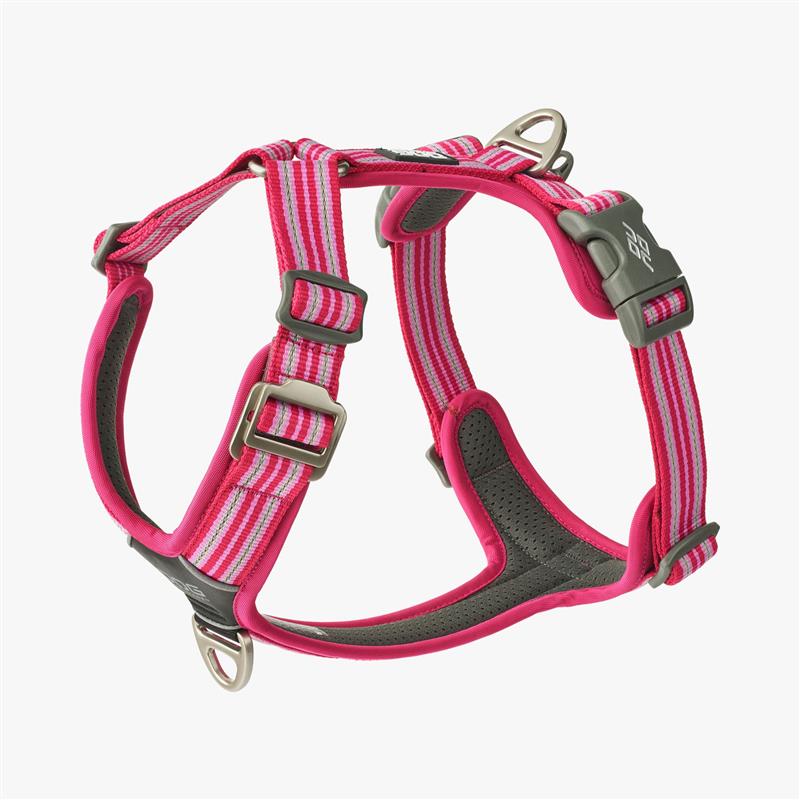 Dog Copenhagen Comfort Walk Air Harness Wild Rose Small