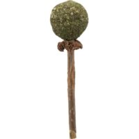 Trixie Matatabi Lolly