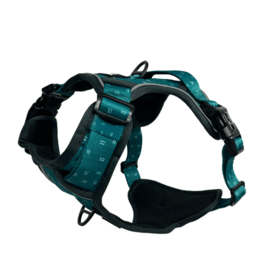 Twiggy Tags Adventure Harness Tranquil Size 1