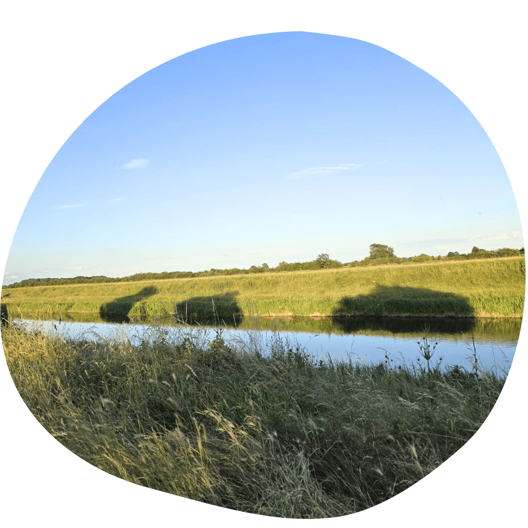 River Welland Walk - Dog Walks - Deeping St James - Pet Stop