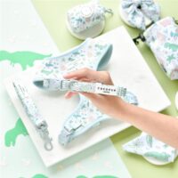 CocoPup Dinopaws Collar Medium