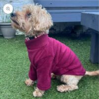 Pawsome Paws Fleece Jumper 2 Legged Mulberry Extra Large