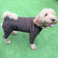 Pawsome Paws Fleece Suit 4 Legged Brown Extra Large