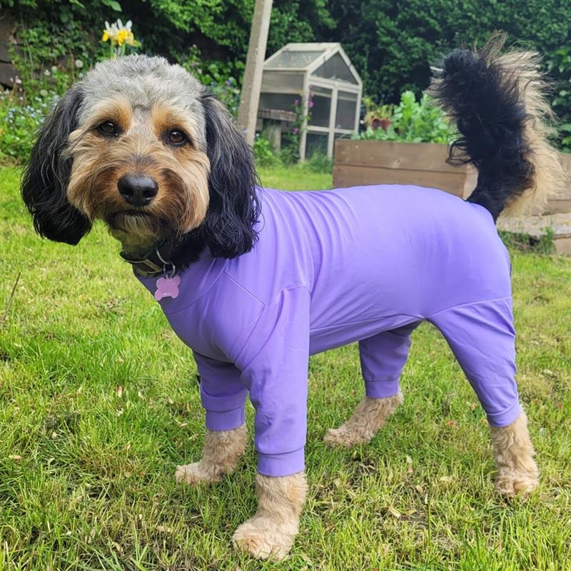 Pawsome Paws Lightweight Suit Lilac Large