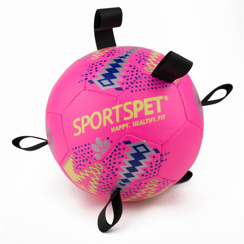 Sportspet Football With Tassels Size 4