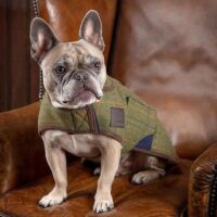 Digby & Fox Green Tweed Coat 16 Inch