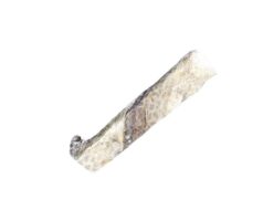 Skippers Regular Throw Sticks Single