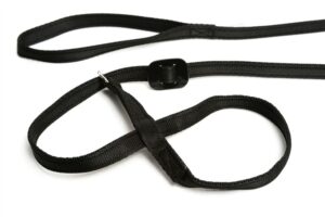 Gencon All In One Headcollar Black Right Hand Side