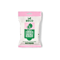 Beco Bamboo Wipes Coconut 20 Pack