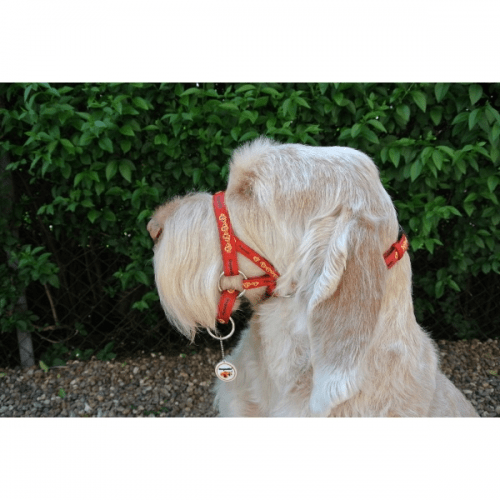 Dogmatic Size 1 Red