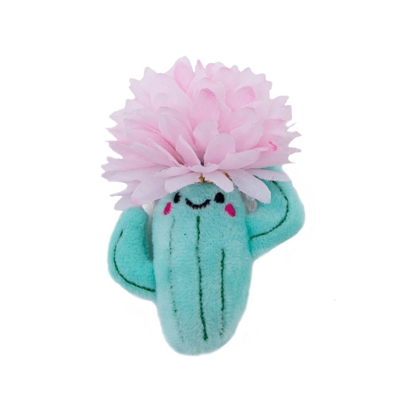 Fiesta Cat Flower Cactus