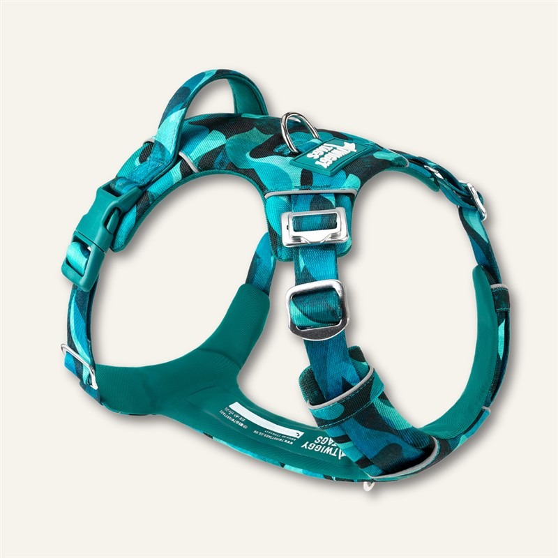 Twiggy Tags Adventure Harness Lagoon Size 2
