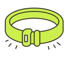 Collars & Leads Glow