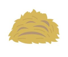 Hay Blends