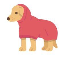 Drying coats & towels