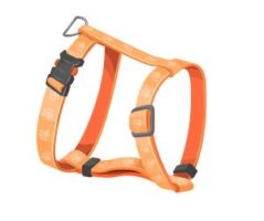 Harnesses