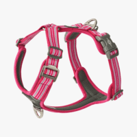 Dog Copenhagen Comfort Walk Air Harness Wild Rose Large