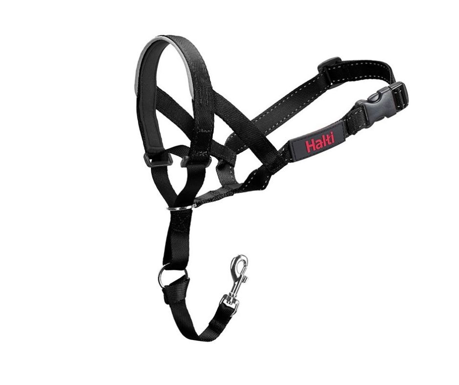 Halti Head Collar Size 5