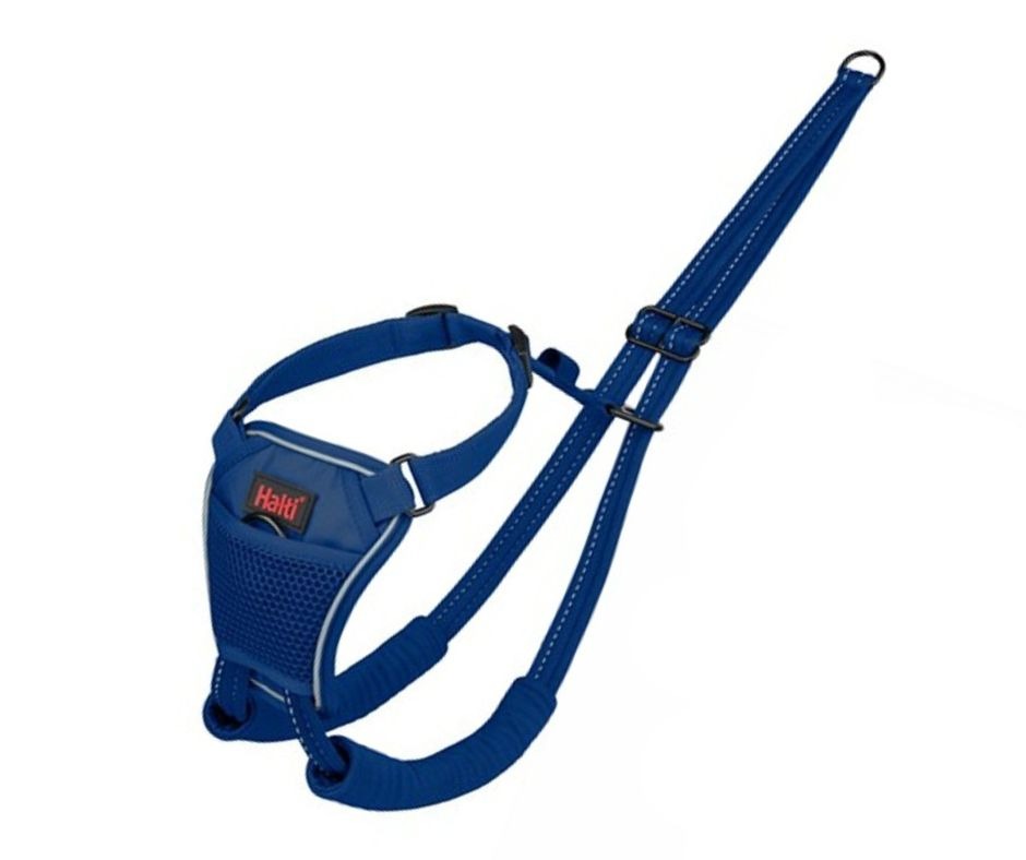 Halti No Pull Harness Medium Blue