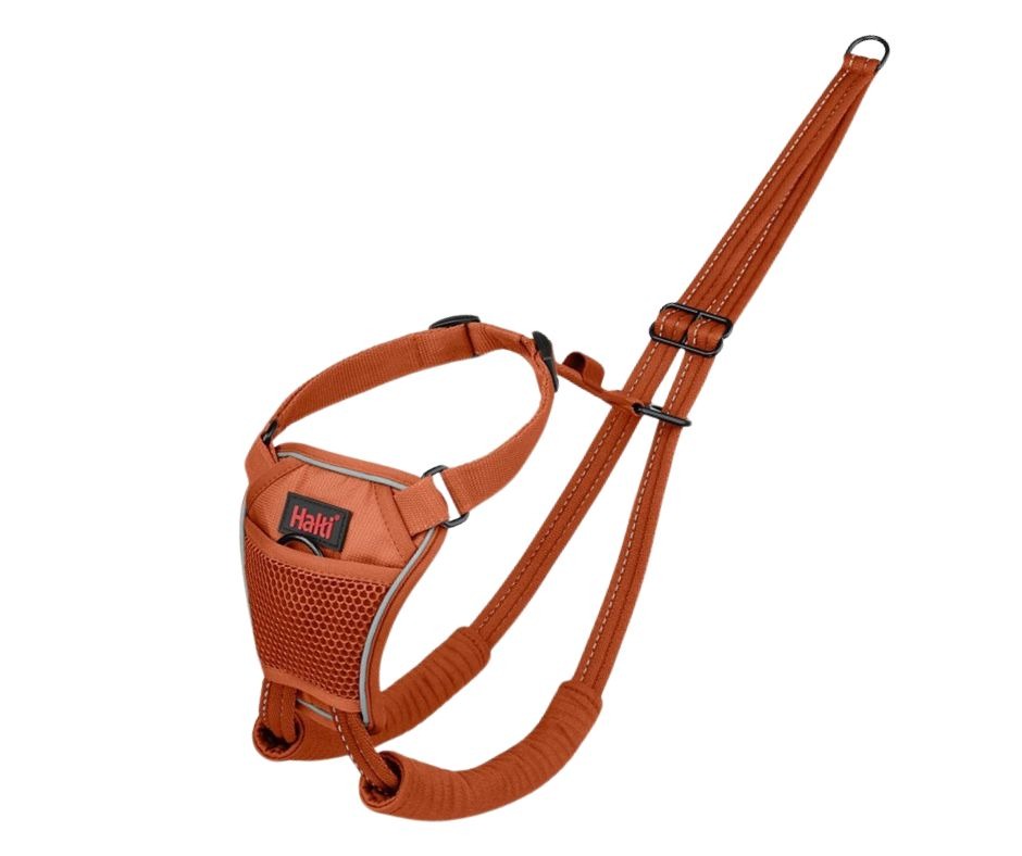 Halti No Pull Harness Small Orange